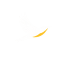 Meadowlark Labs